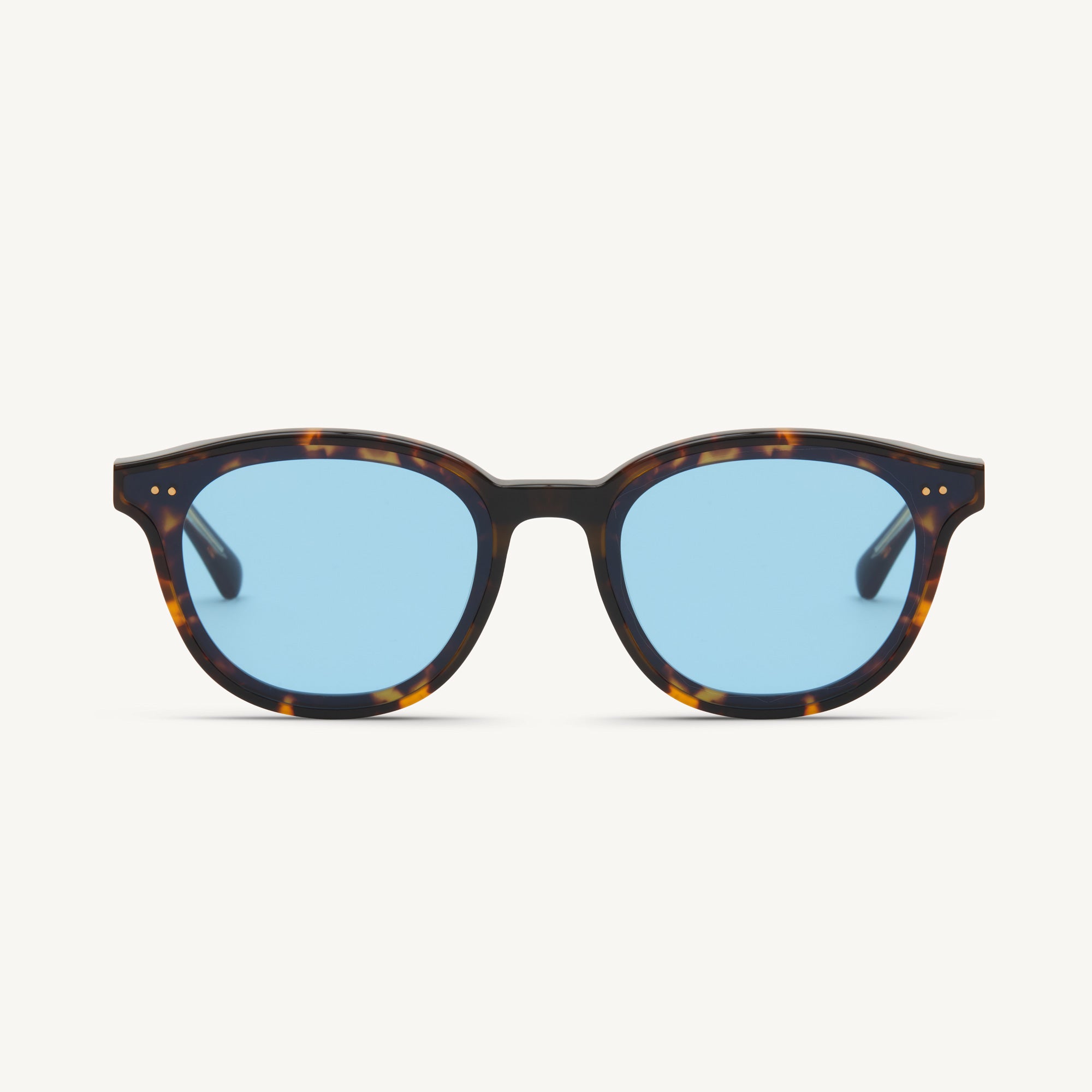 Clyde - Tortoise - 33 Light Blue Gradient