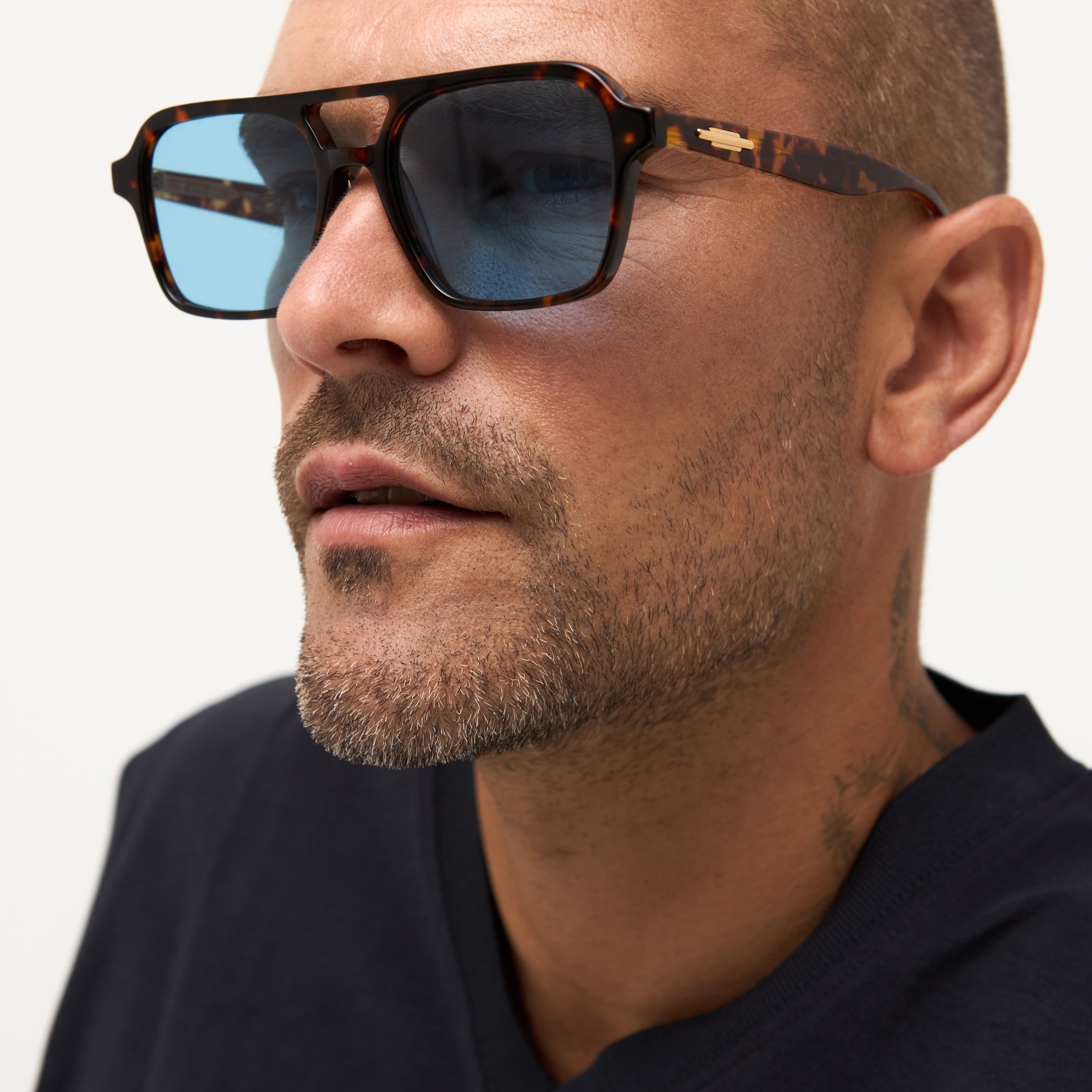 Waxy - Tortoise - 33 Light Blue Gradient