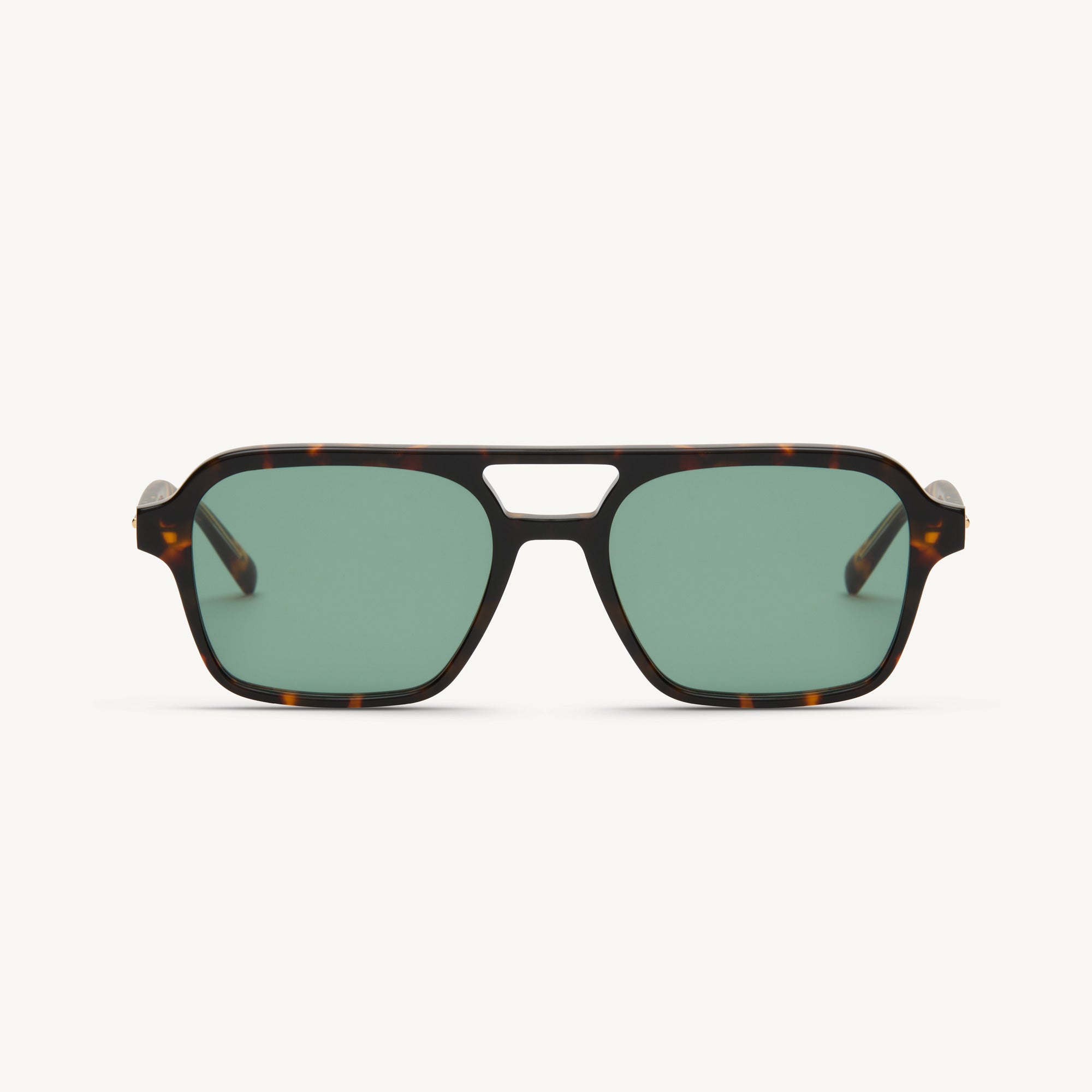 Waxy - Tortoise - 51 Light Green Gradient